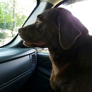 Meet your Posher, Rhonda